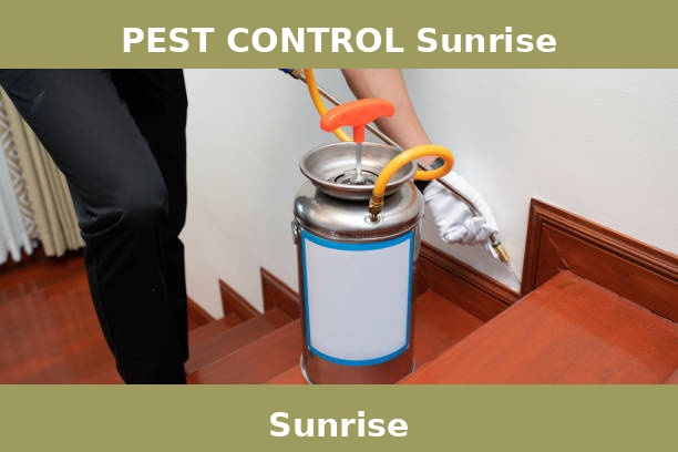PEST CONTROL Sunrise